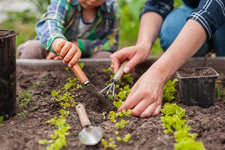 Kind und Mutter Gärtnern im Gemüsegarten im Hinterhof