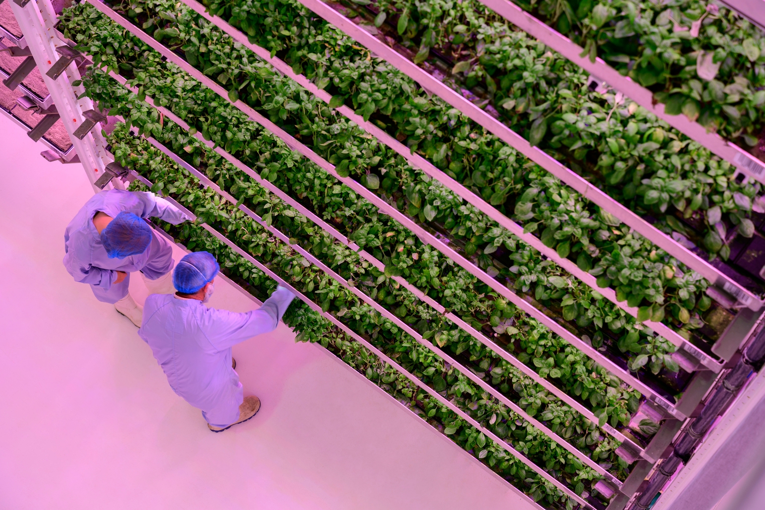 AppHarvest Stock Too Risky And Capital Expenditures Are Too High