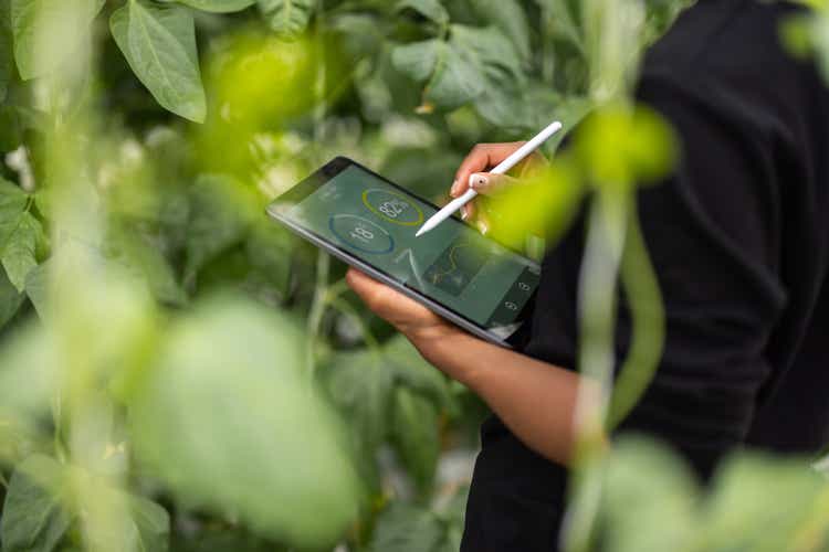 Agronomist using digital tablet for analysis of plantation