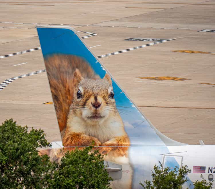 Cute animal paintings of Frontier Airlines Livery