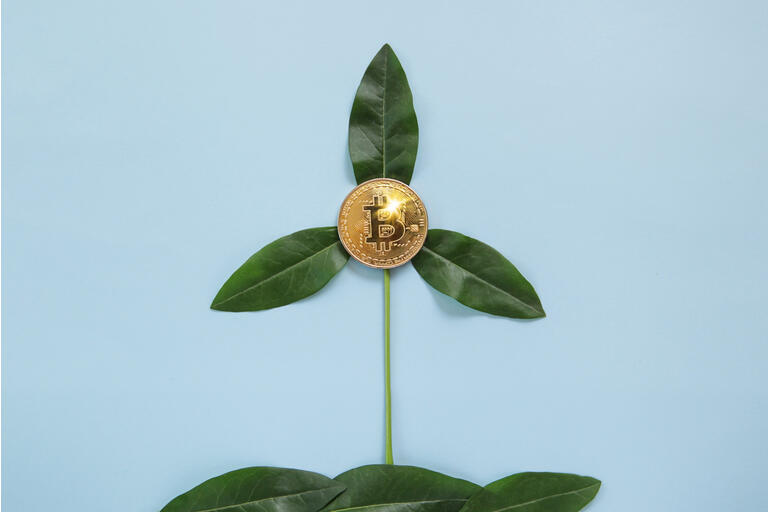 Great Bitcoin Debate Brain Baffles Brawn Cryptocurrency Btc Usd Seeking Alpha