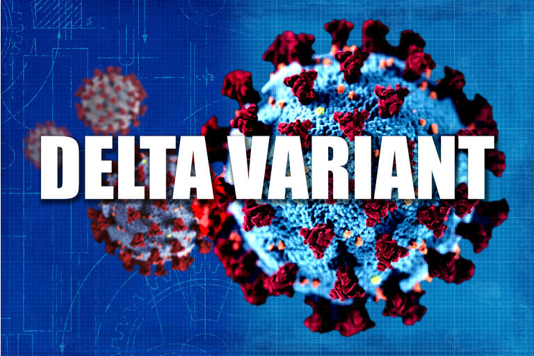 COVID-19 Delta Variant Now Accounts For 83% Of New Cases - CDC Director ...