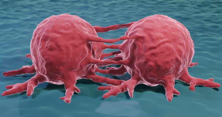 Revolution Medicines: Early-stage Data on Cancer Therapy Causes Stock Plummet 1 Cancer cells division