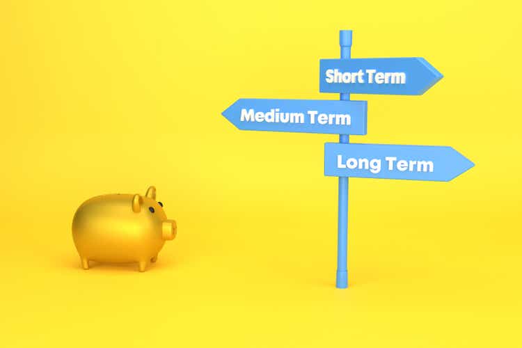 Investment decision. Pig piggy bank makes short, medium or long-term investment decisions.