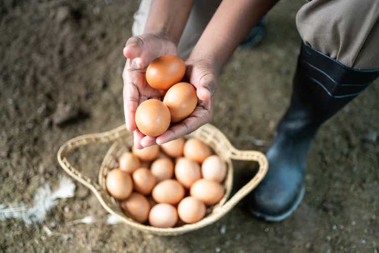 Worker with eggs in poultry farm
