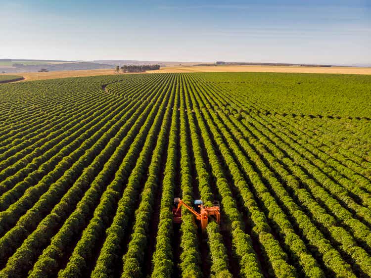 Coffee combine harvester