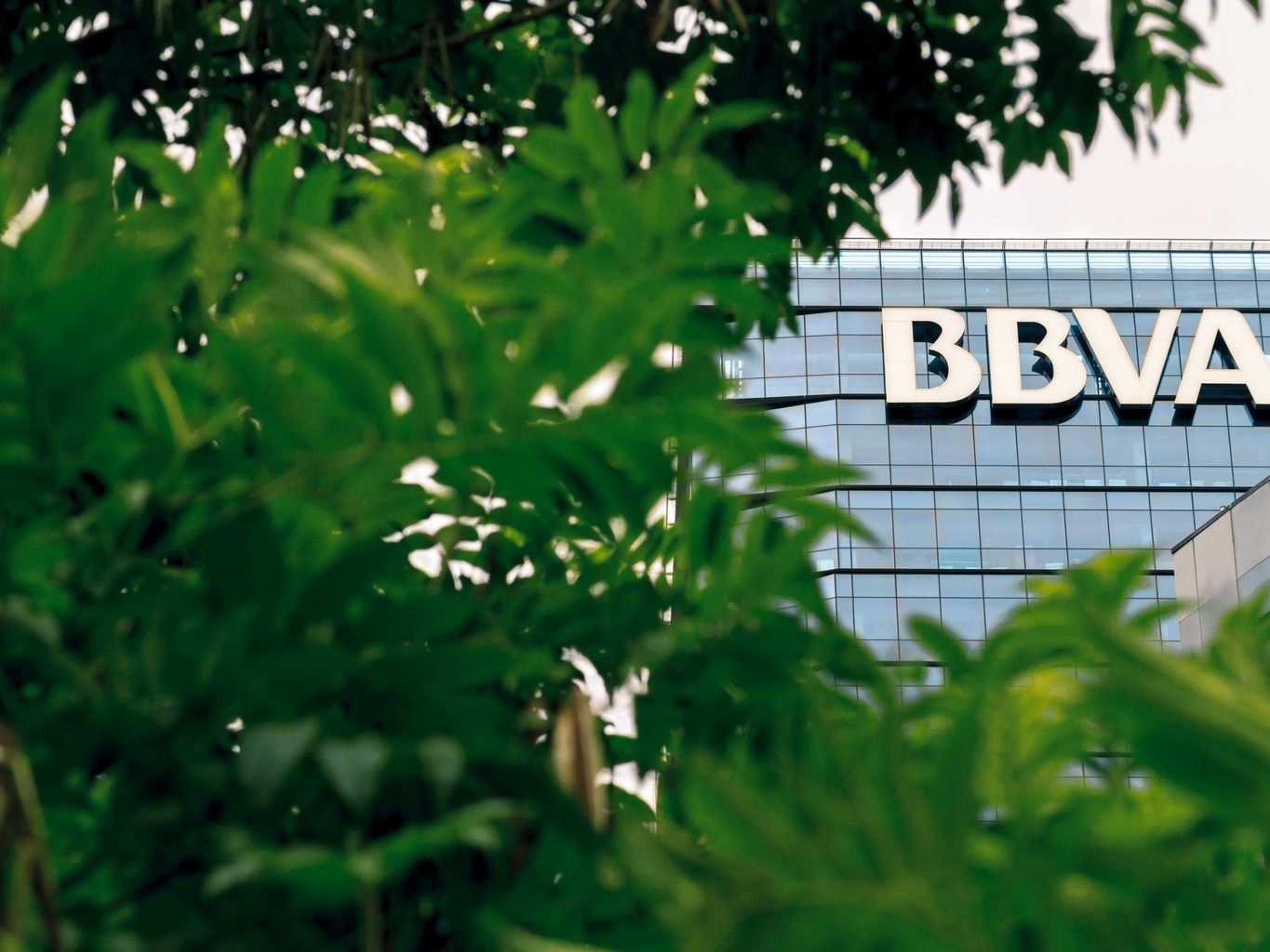 Banco BBVA Argentina: Not The Best Play Among Argentine Banks (NYSE:BBAR) |  Seeking Alpha