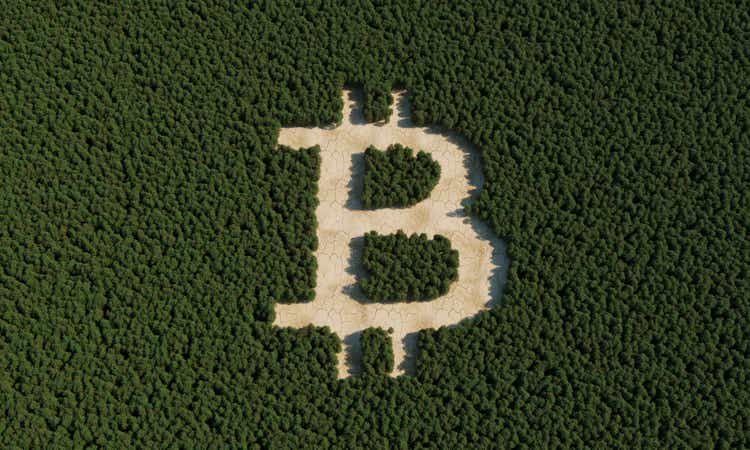 Bitcoin Login Forest