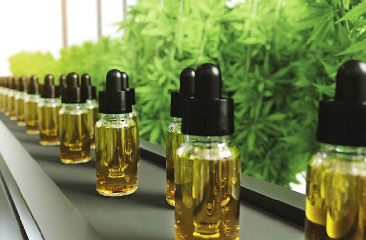 CBD oil production inside a hydroponics farm