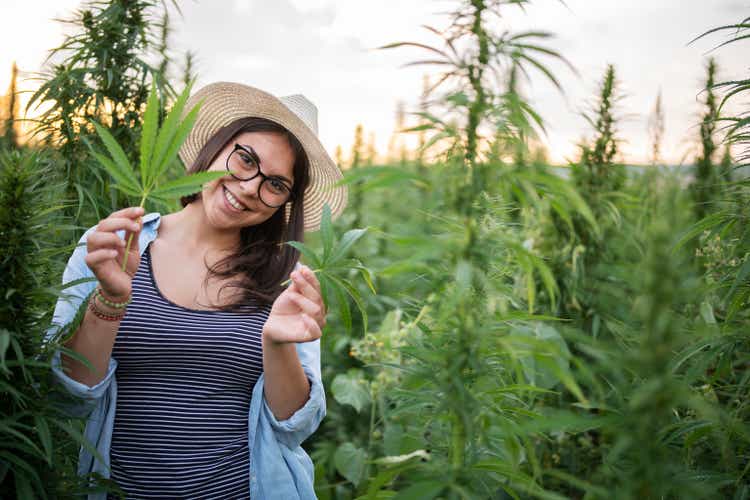 Smiling Woman In Cannabis Plantation.