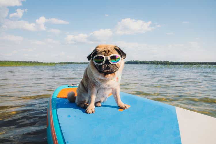 it"s a paddle board time!