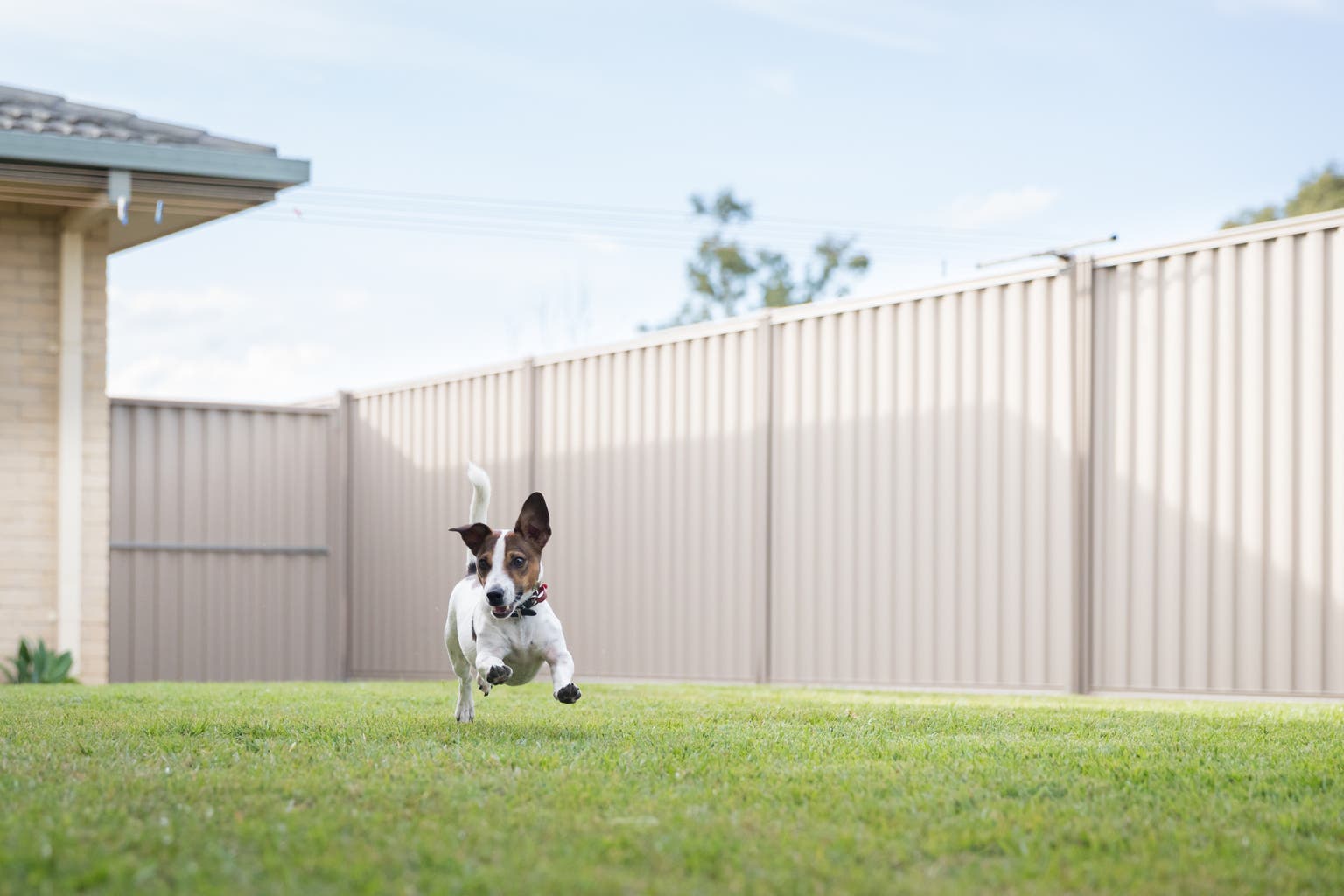 Central Garden & Pet Company: Cost Simplicity Program Won't Be Enough To Move The Needle
