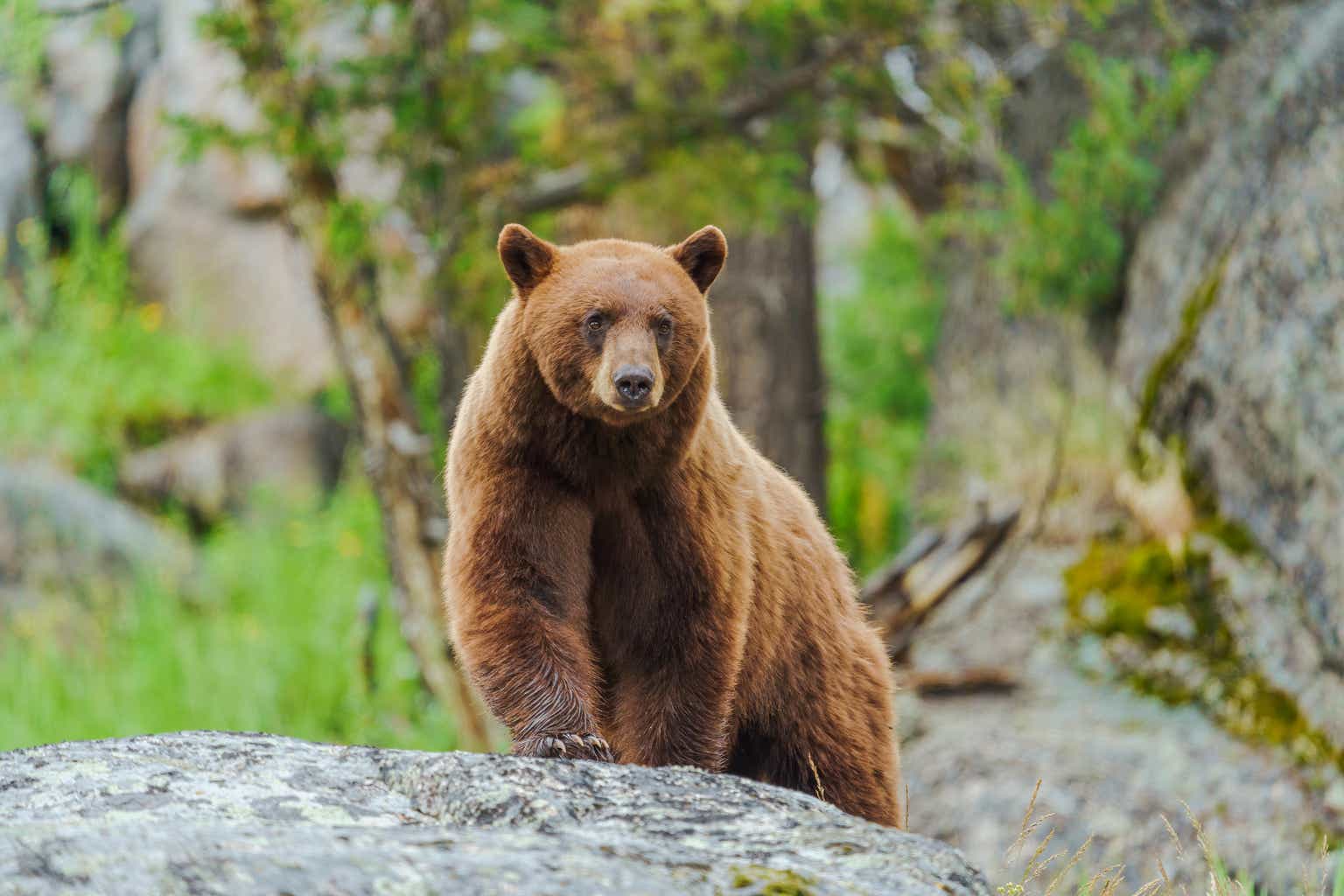 September May Bring The S&P 500 Back To Its June Lows Seeking Alpha