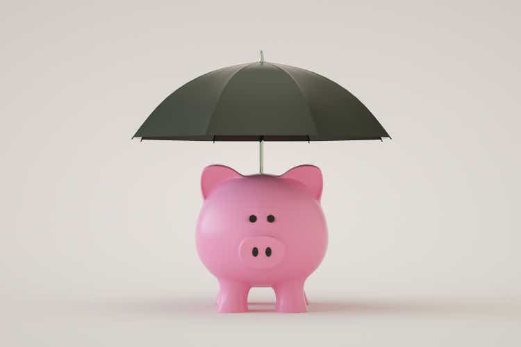 Piggy Bank with Umbrella, Financial Insurance, Protection