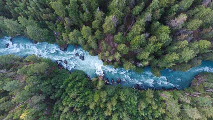 Aerial view of a river flowing through a temperate rainforest