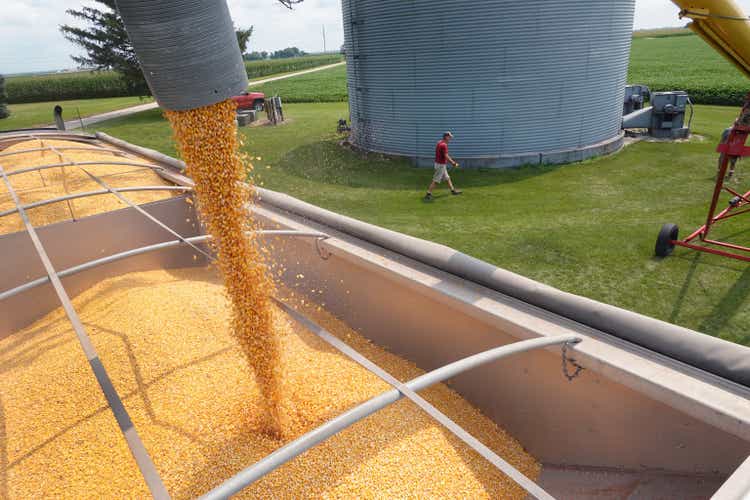 U.S. On Verge Of Record Corn Crop Despite Drought In Several Farm States