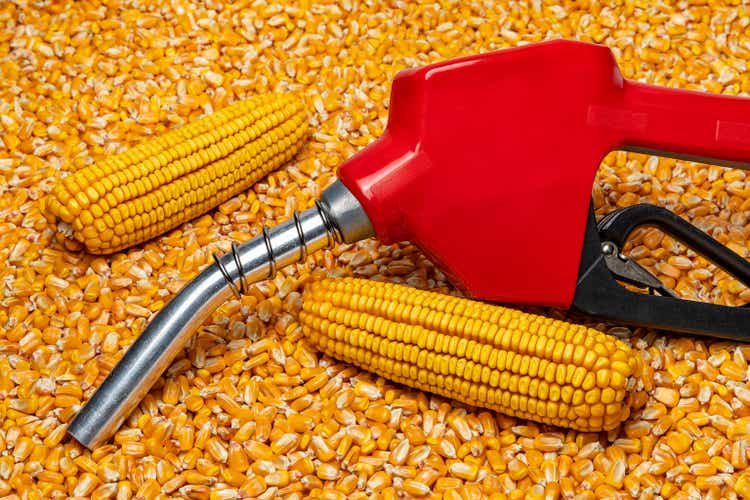 Ethanol-Benzin-Kraftstoffdüse und Maiskörner. Biokraftstoff-, Landwirtschafts- und Kraftstoffpreiskonzept