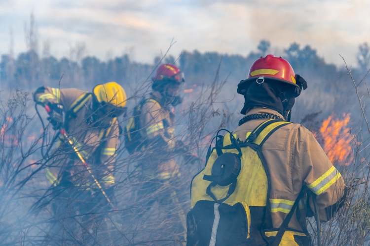 Firefighters put out a fire in the forest