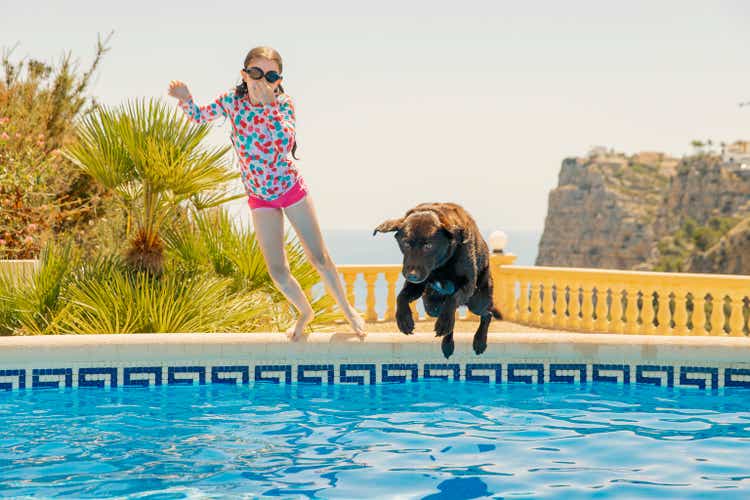 Young girl jumping into the swimming pool with her pet chocolate labrador dog
