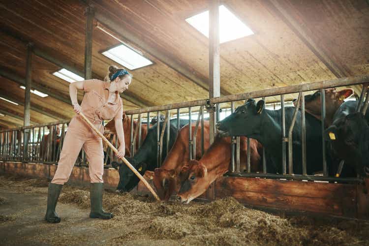Shot of a young woman cleaning in a barn on a farm