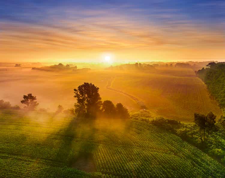 Sunrise over misty fields of corn