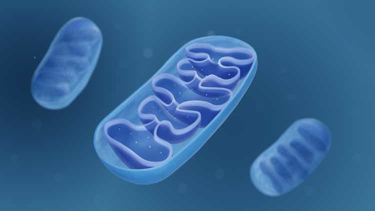 Mitochondrion structure