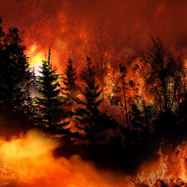 Steer Clear Of PG&E Corp.