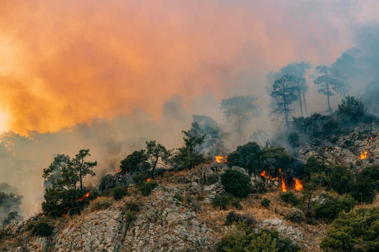 Forest Fires Caused by Climate Change