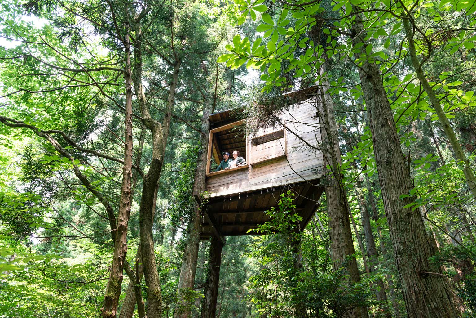 Treehouse Foods – Naturally Fresh A Deep Dive into Quality and Brand Treehouse Foods – Naturally Fresh A Deep Dive into Quality and Brand