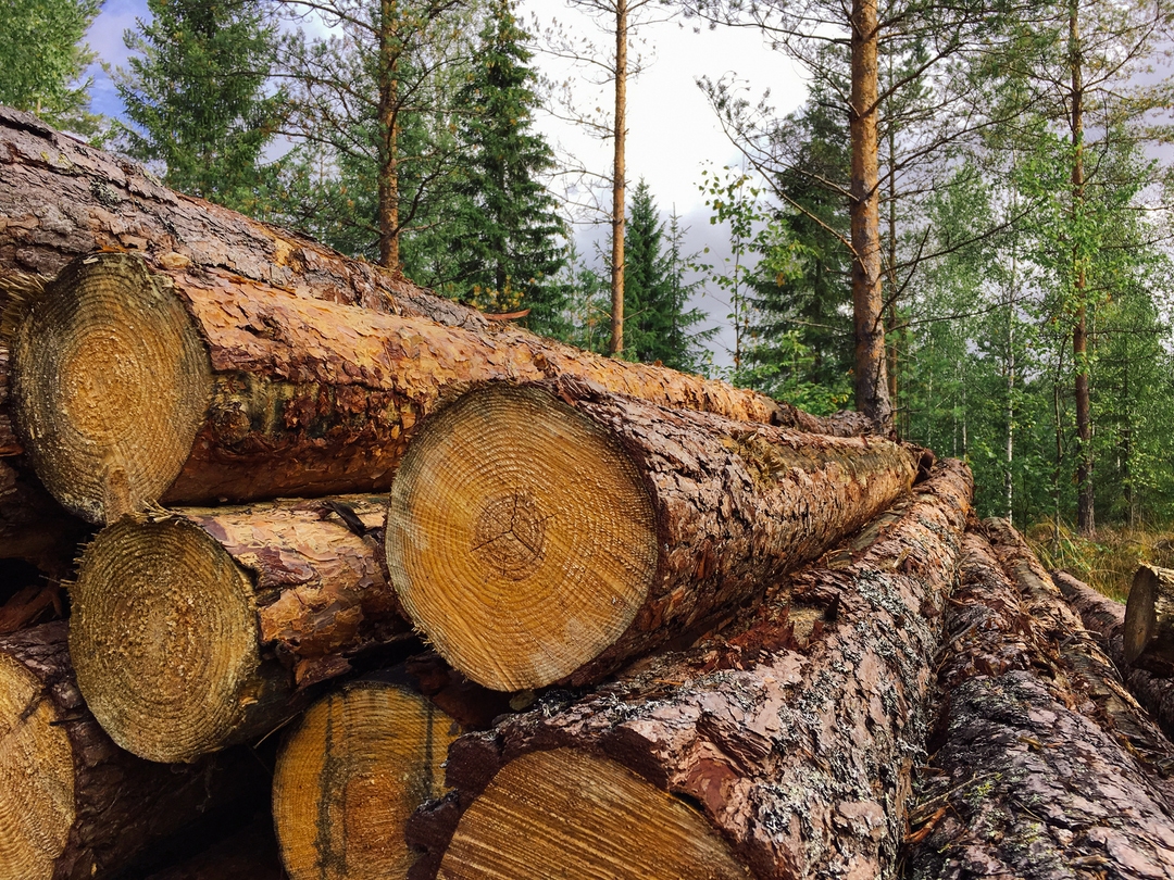 What's The Resolute Forest Products' CVR Worth? (NYSERFP) Seeking Alpha