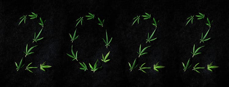 Pattern of cannabis leaves in the form of numbers 2021 on a dark background. The concept of a new year. Cannabis plant background. Copy space. The concept of marijuana love
