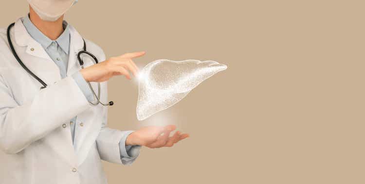 Unrecognizable doctor holding highlighted handrawn Liver in hands. Medical illustration, template, science mockup.