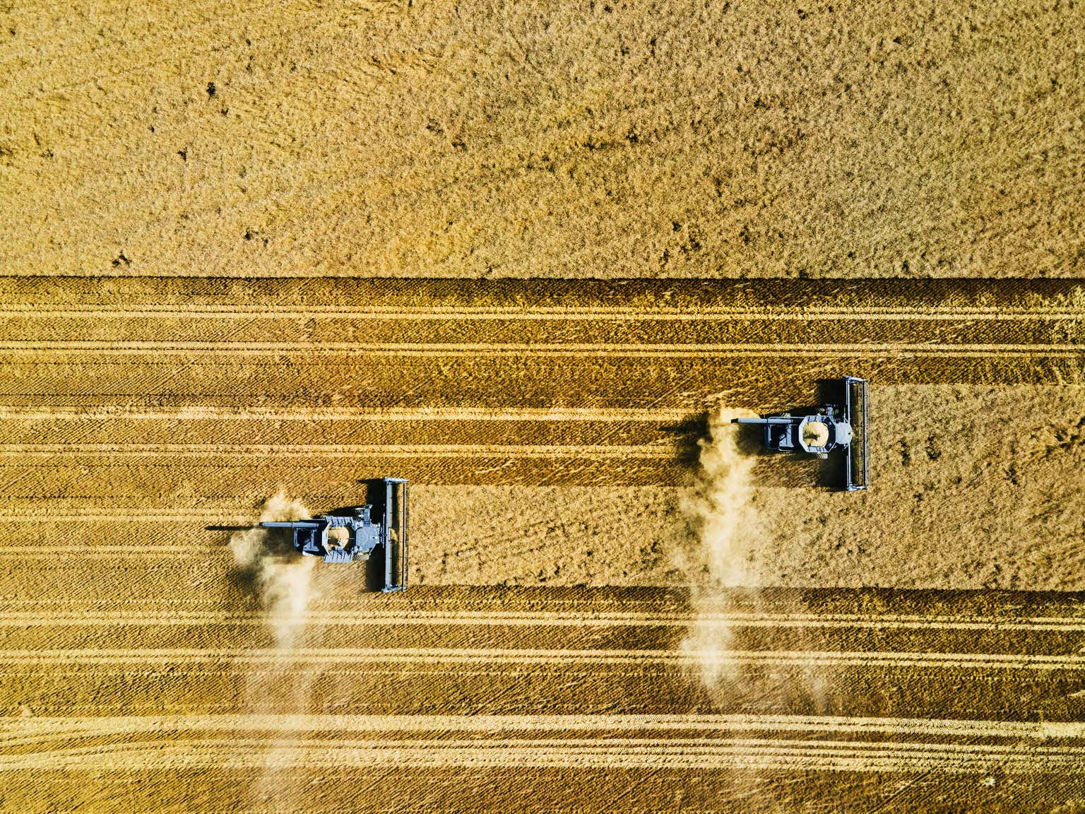 Gladstone Land: Should You Buy U.S. Farmland As Dividend Coverage Dips?