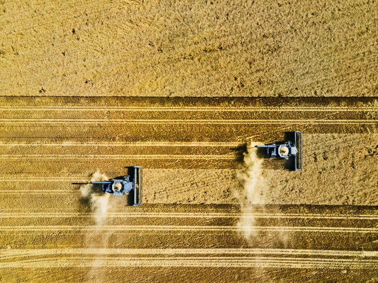 Extreme wide shot overhead aerial view of combines harvesting wheat on summer afternoon