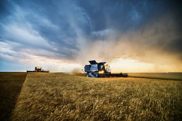 Wide shot of combines harvesting wheat with storm clouds in background during harvest on summer evening