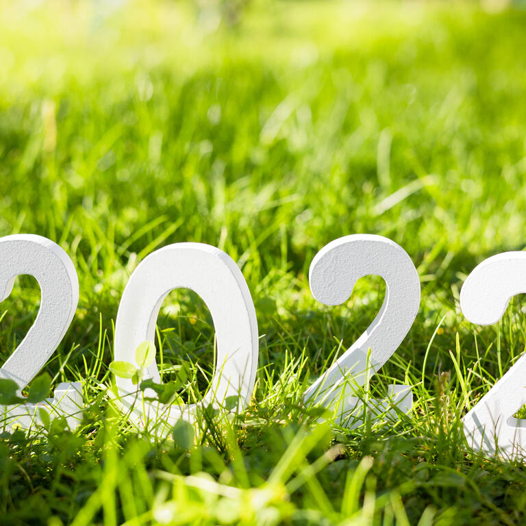 С Новым 2022 годом. Белый деревянный номер 2022 на зеленой траве