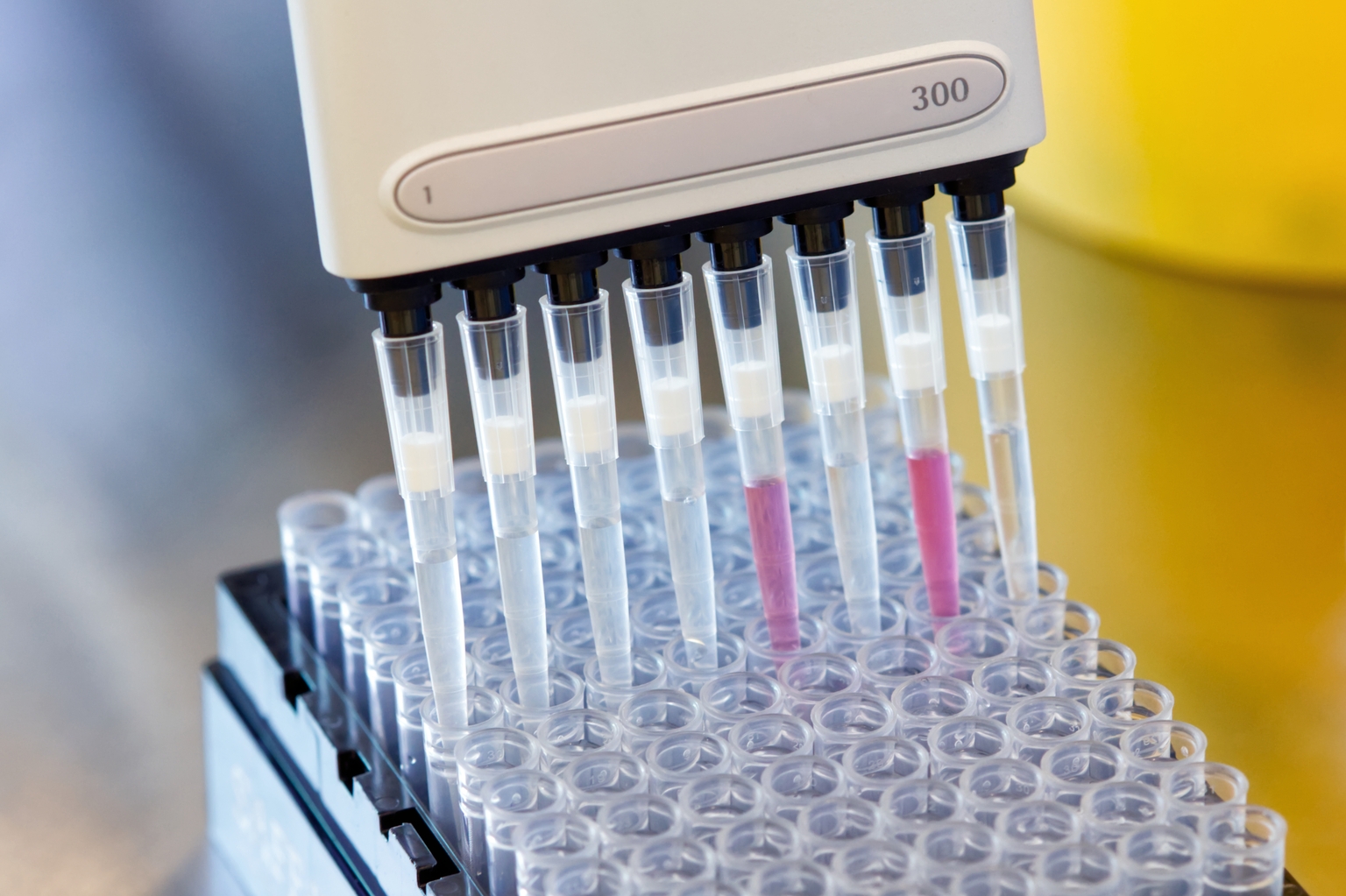 REGENXBIO’s Late-Stage Pipeline Momentum Strengthens After Q3 Earnings Beat (NASDAQ:RGNX)