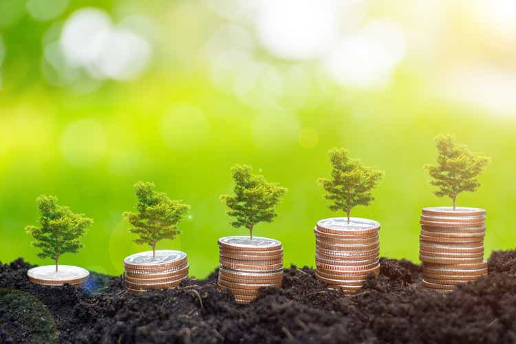 Money and big tree on soil over blurred green background with sunlight. This concept is about saving money and investing money to grow.