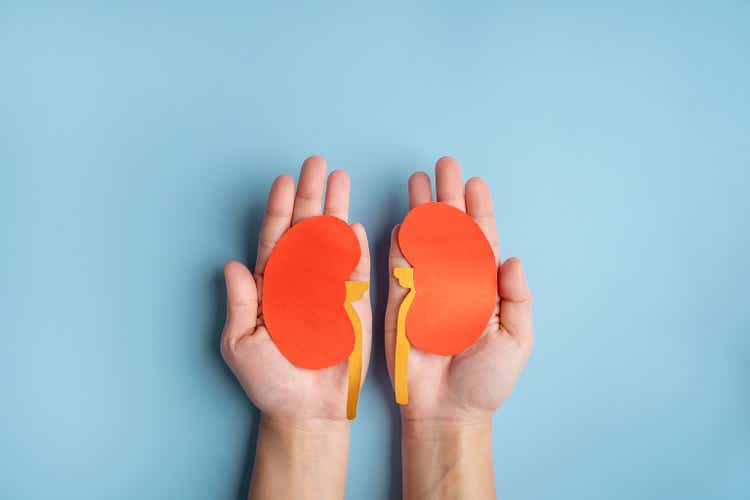 World kidney day. Human hands holding healthy kidney shape made from paper on light blue background.