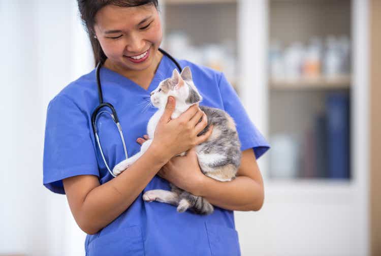Veterinarian Holding a Feline Patient in Her Arms