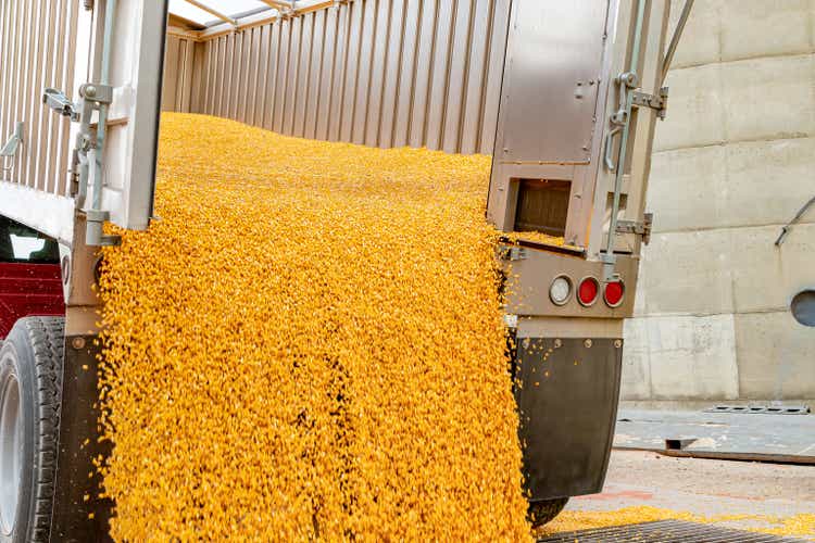 Bewegungsunschärfe des Maisenentladung vom LKW am Getreideaufzug. Erntezeit, Getreidelagerung und Rohstoffmarktkonzept.