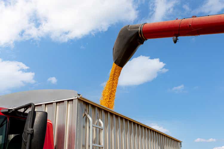 Mähdrescher, der während der Erntezeit Maiskörner in den Getreidewagen lädt. Landwirtschaft, Ethanol und Rohstoffmarktpreiskonzept