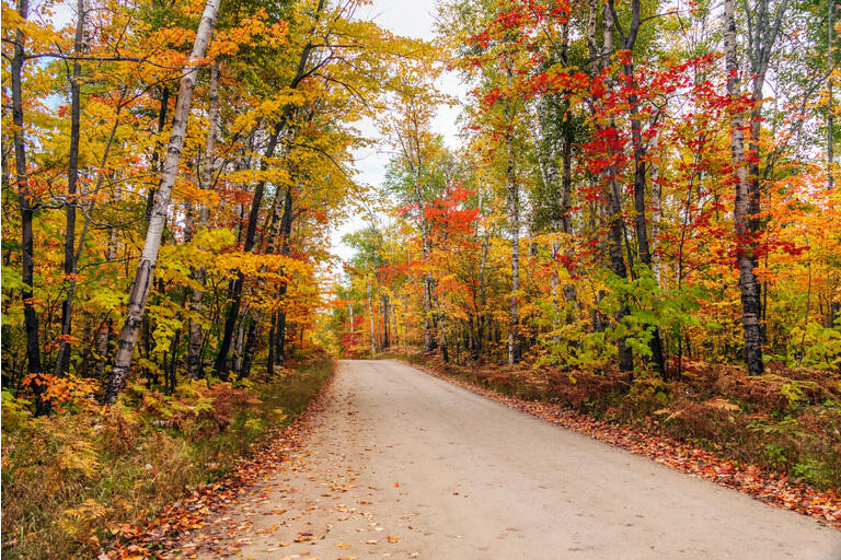 Keweenaw Land Association(KEWL) Liquidated Timber Assets Leave Royalty