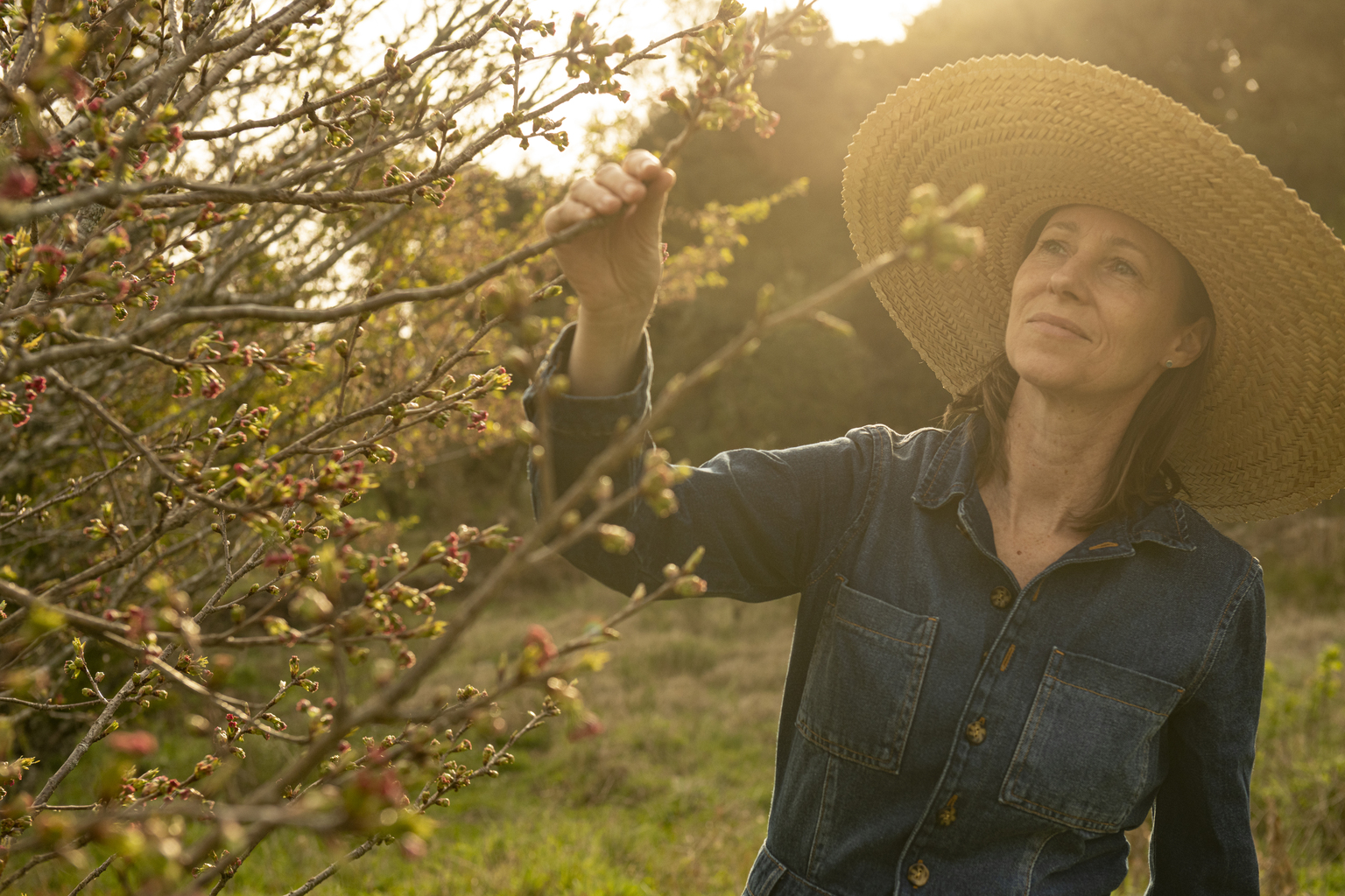 seekingalpha.com - The Value Investor - Once Upon A Farm: A Soft Start For Investors In This Better-For-You Brand (NYSE:OFRM)