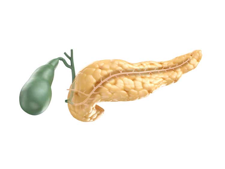 Realistic 3d illustration of human pancreas with gallbladder