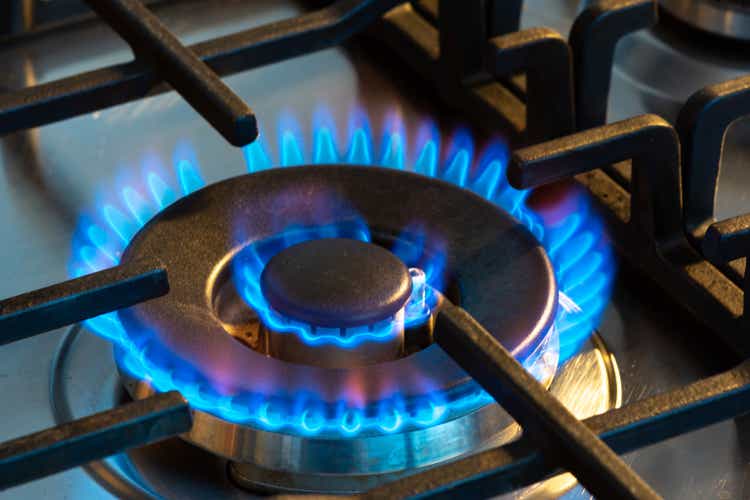 Burning gas with blue flames on the burner of a gas stove