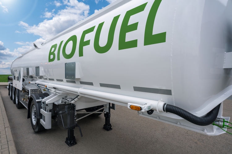 S&W Seed surges after forming biofuels JV with Shell (NASDAQ:SANW) - Vimarsana News