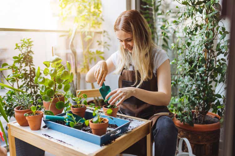 Schöne Hausfrau mit Blume im Topf und Gartenset