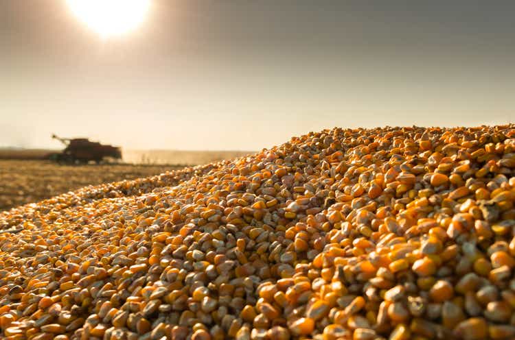 Origin Agritech: Selling Feed Corn, Not Just Seeds - Upside Potential