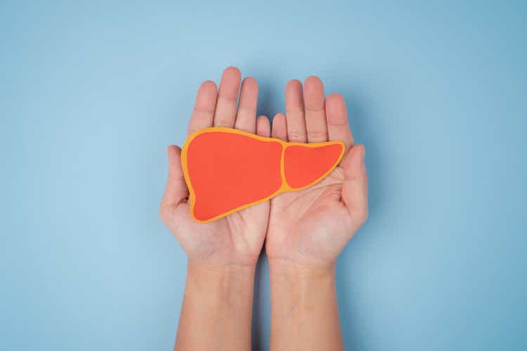 Liver shaped paper on blue background. Flat lay, top view. Medical or eco concept.